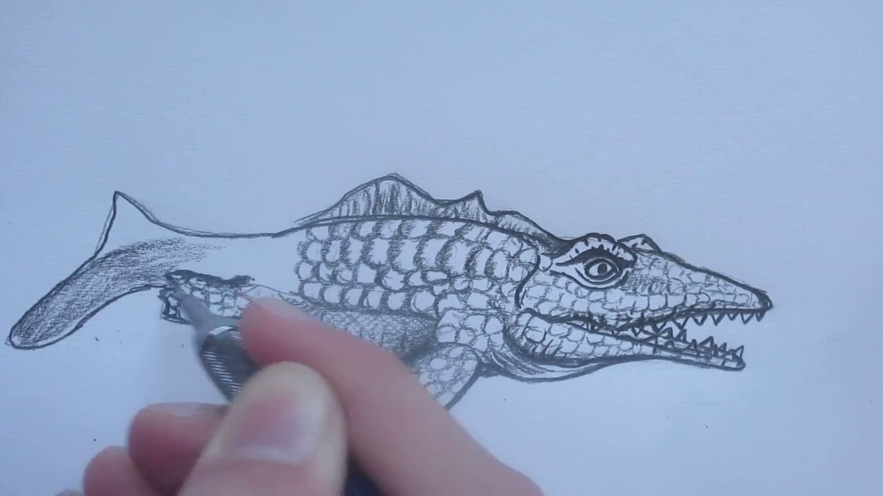 Drawing Mosasaurus!!! || Hungry Shark Evolution - Danny the Dinosaur Drawer
