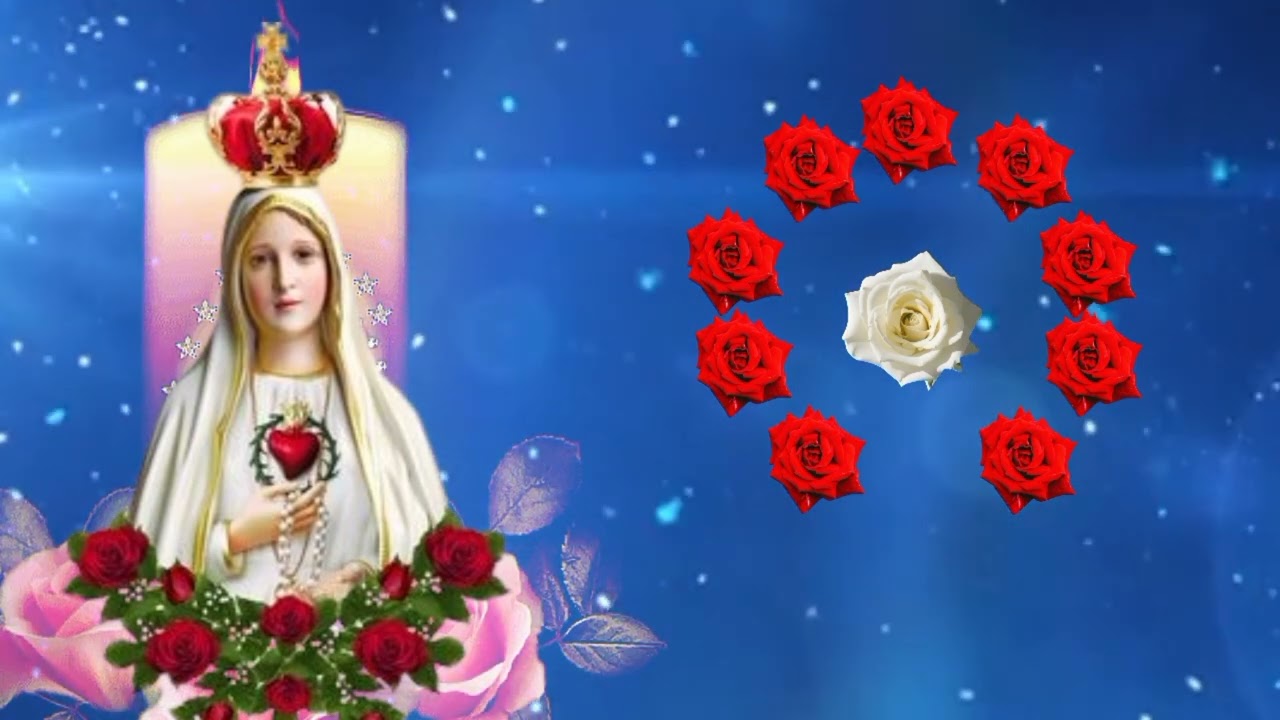 SANTO TERÇO de HOJE - DOMINGO(01/02/2026)🌹MISTÉRIOS GLORIOSOS🌹- TERÇO NOSSA SENHORA DE FÁTIMA