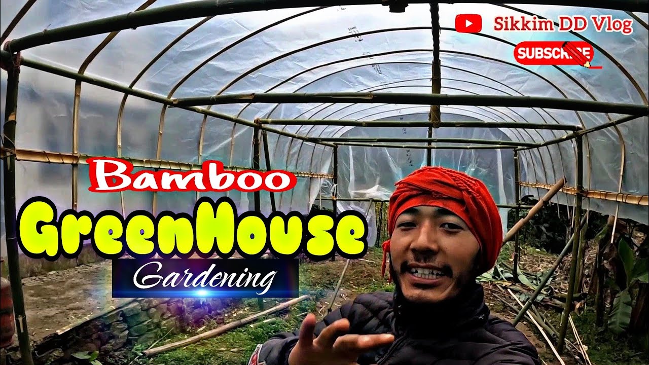 constructing of Organic Green House || Bamboo Green House #greenhouse
