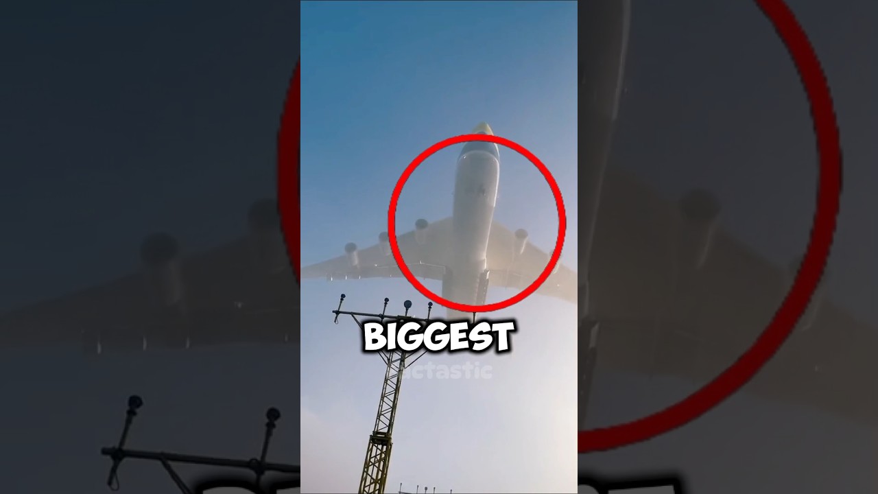The Biggest Plane In The Worle Got Destroyed?