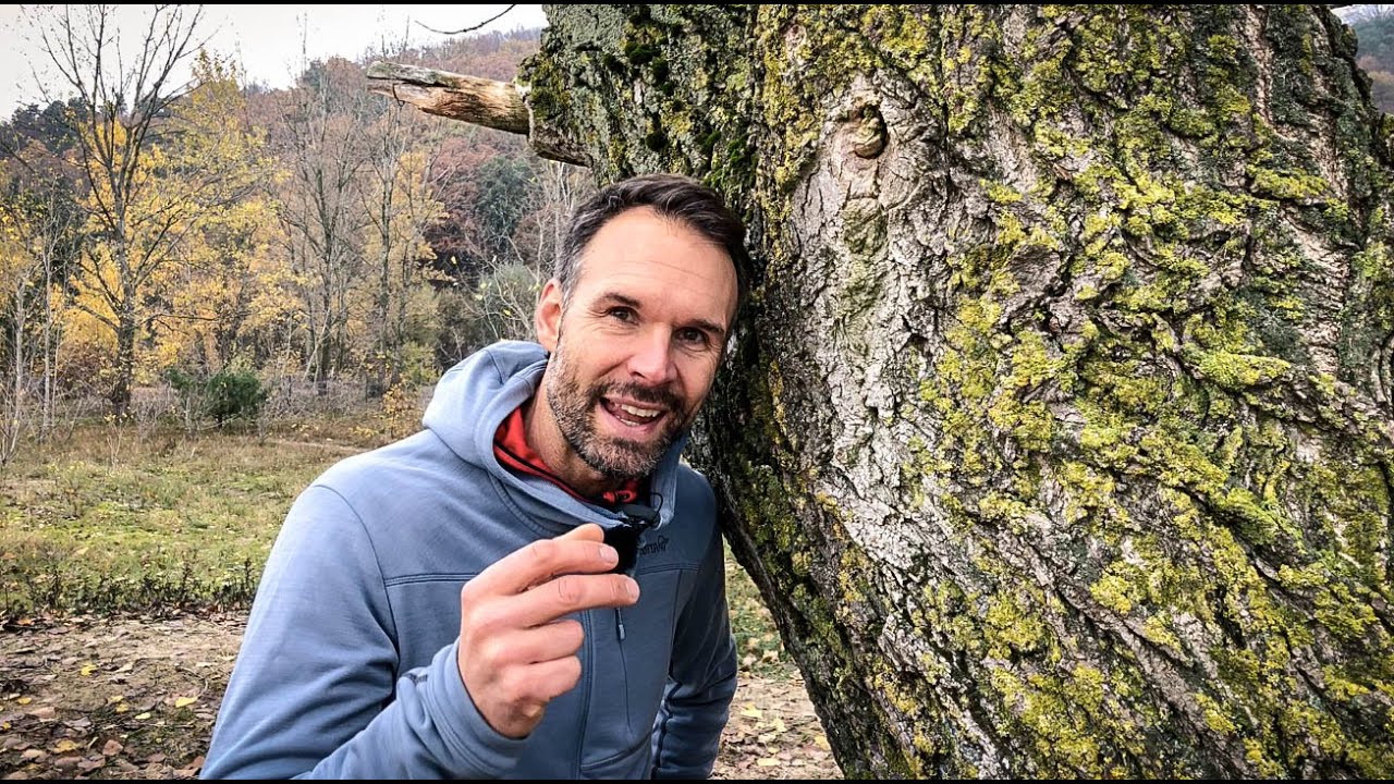 Wie du heute noch rauskommst mit Mikroabenteuer Ideen / Christo Foerster x AOK Baden-W&uuml;rttemberg