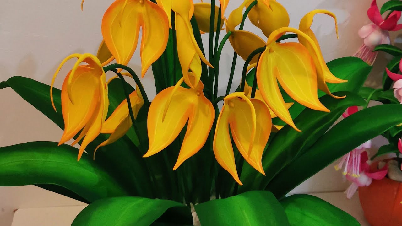 como fazer uma orquídea  com o nome masdevallia ignea
