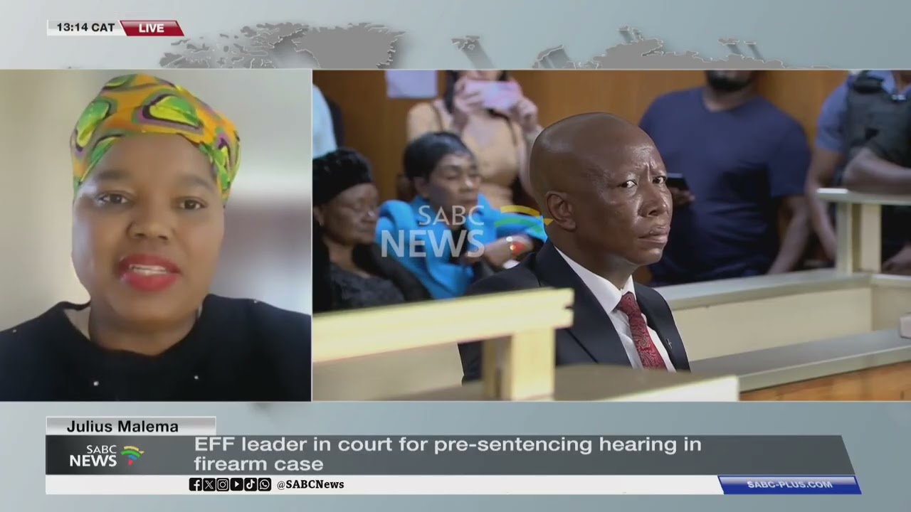 Malema Firearm Case | Malema addresses EFF supporters outside court: Asanda Ngoasheng weighs in