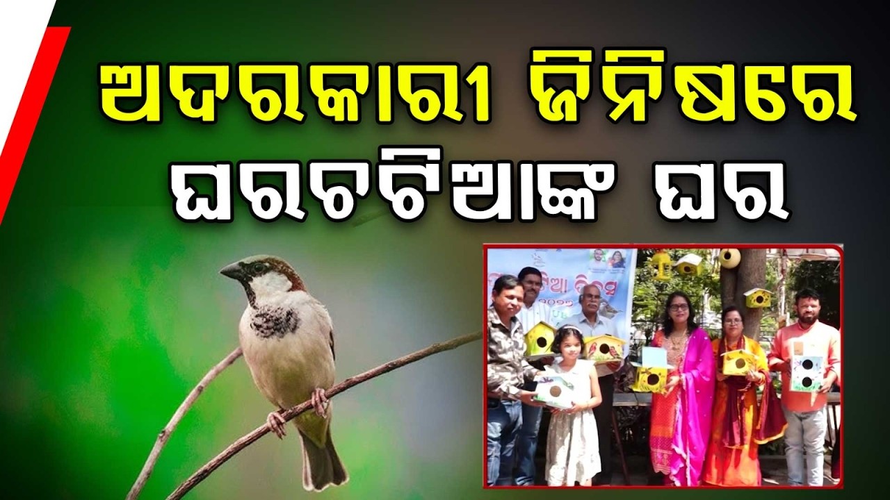 ଅଦରକାରୀ ଜିନିଷରେ ଘରଚଟିଆଙ୍କ ଘର | Sand Artist Builds Sparrow Houses from Waste in Bhubaneswar