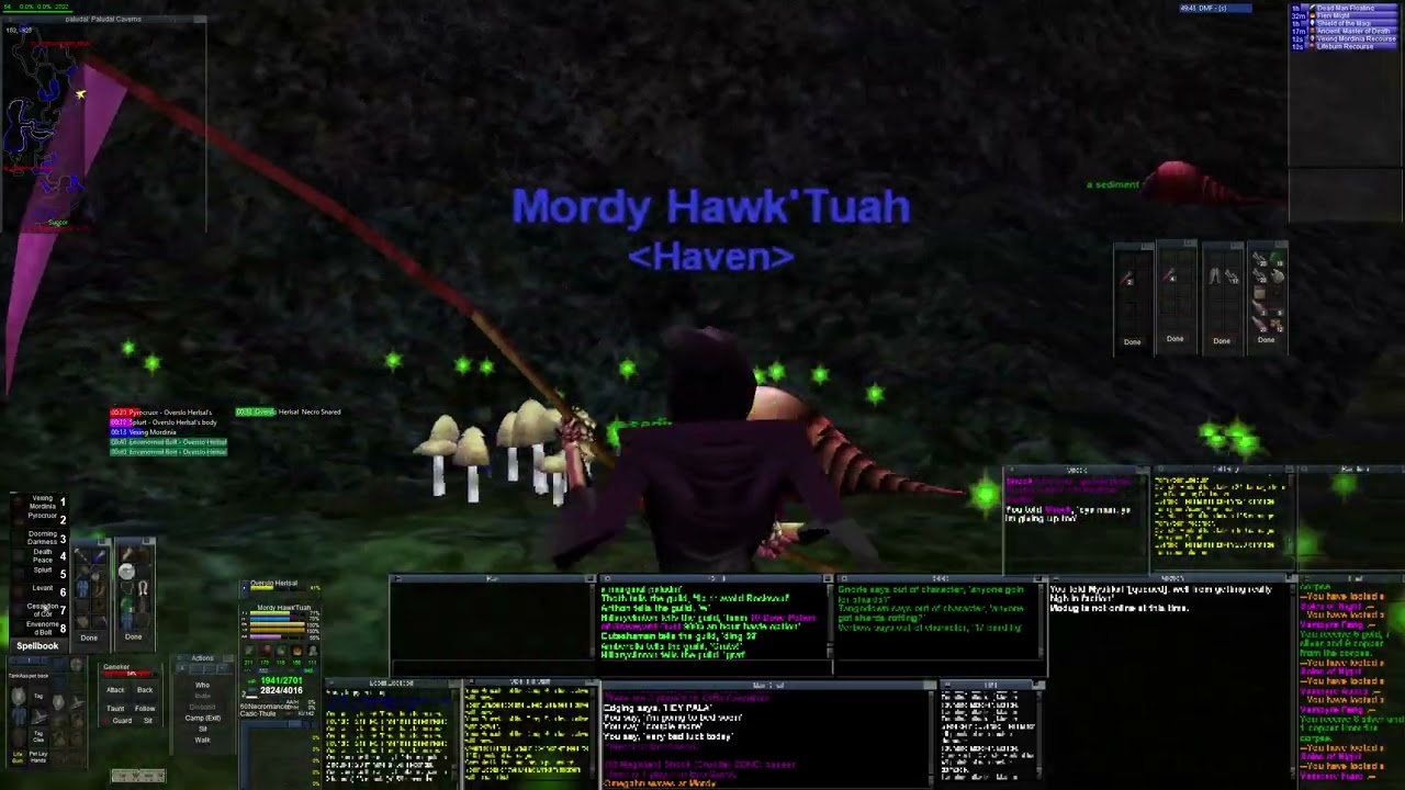Everquest Project Quarm 5% AA/kill camp PC
