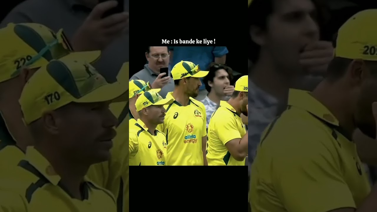 Mitchell starc                                              