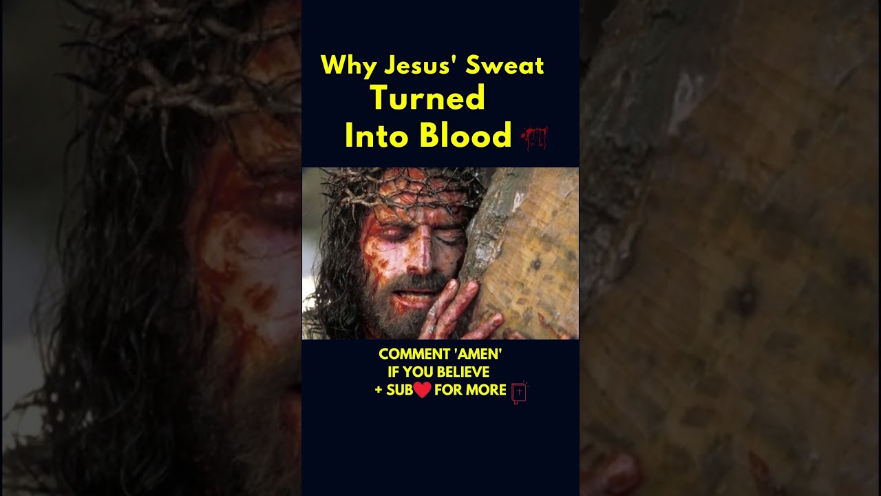 Why Did Jesus' Sweat Really Turn Into Blood 😰🤯 #shorts #youtube #catholic  #jesus #bible #blood