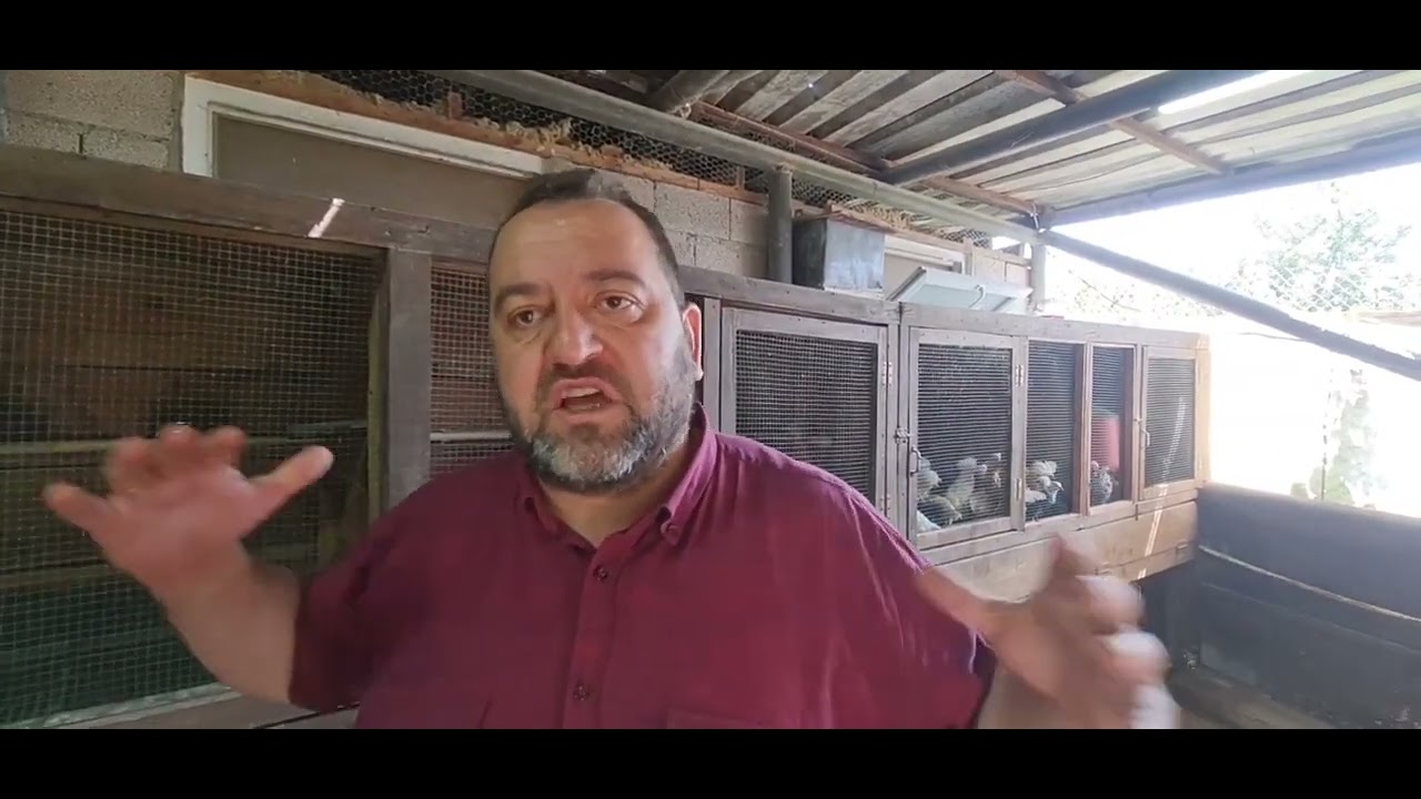 ATABEYOĞLU &Ccedil;İFTLİĞİ TANITIM VİDEOSU ORDU BURHANETTİN K&Ouml;Y&Uuml; KANATLI CENNETİ