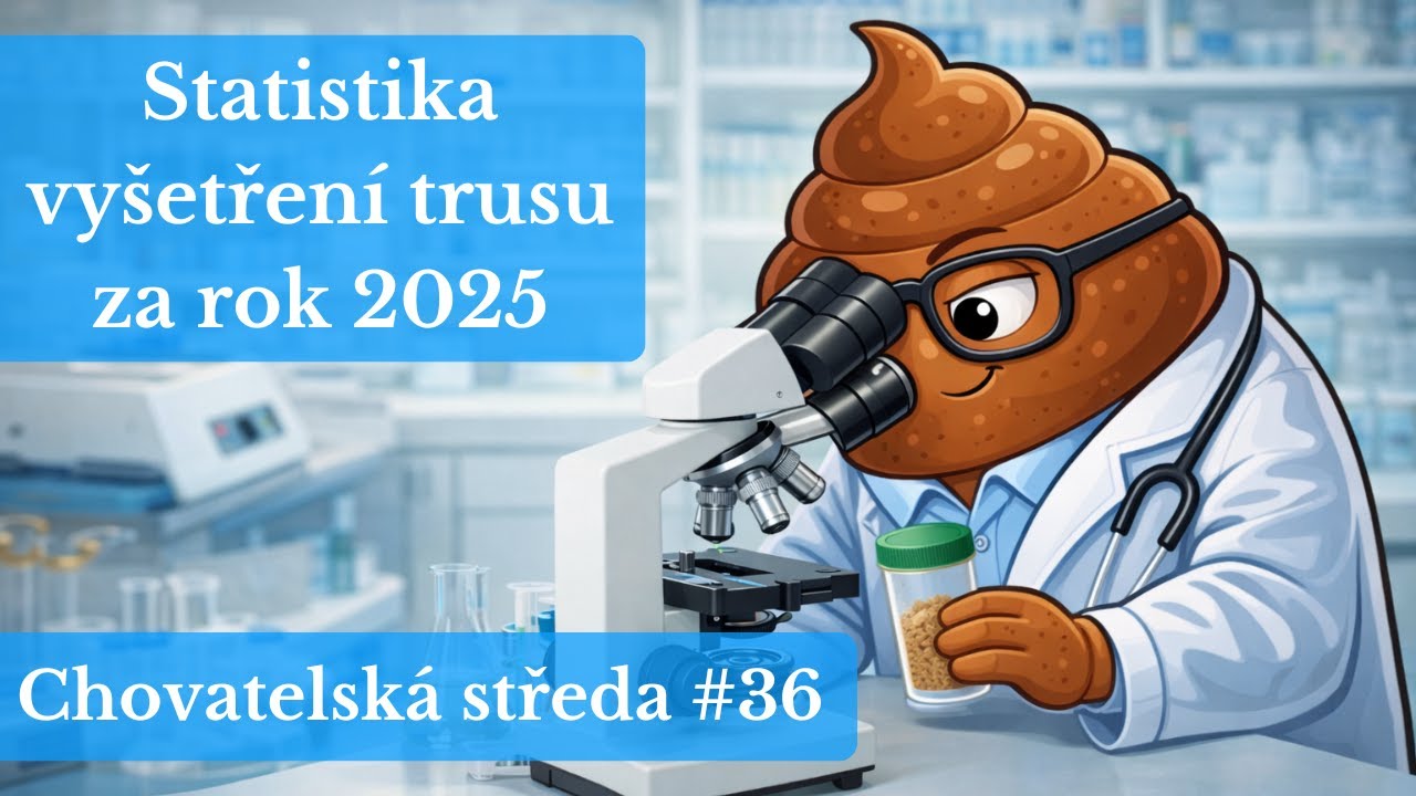 🪱 Proč NEMÁ SMYSL psa naslepo ODČERVOVAT? 🪱 | Chovatelská středa #36