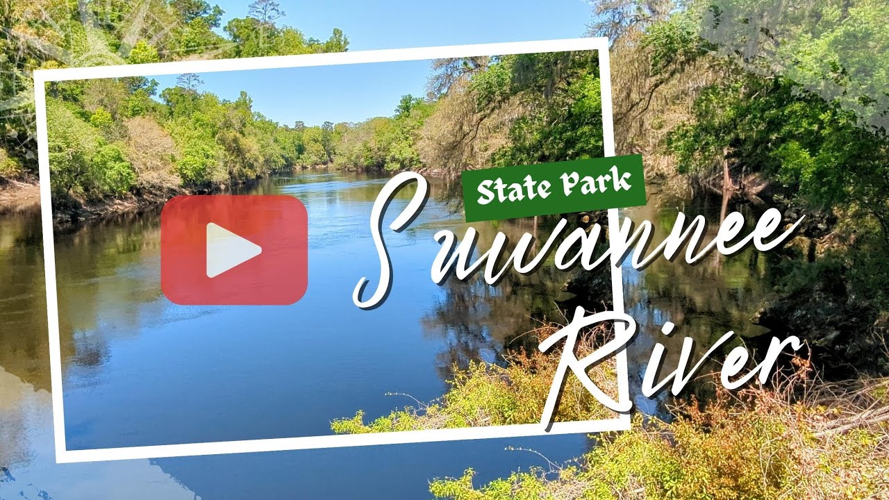 Suwannee River State Park near Live Oak, Florida #suwannee #floridaoutdoors #floridahistory