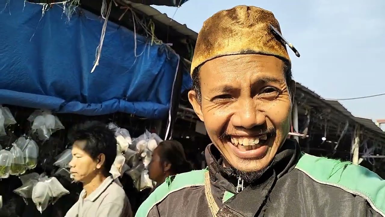 LAPAK IKAN CUPANG PASAR PARUNG BOGOR