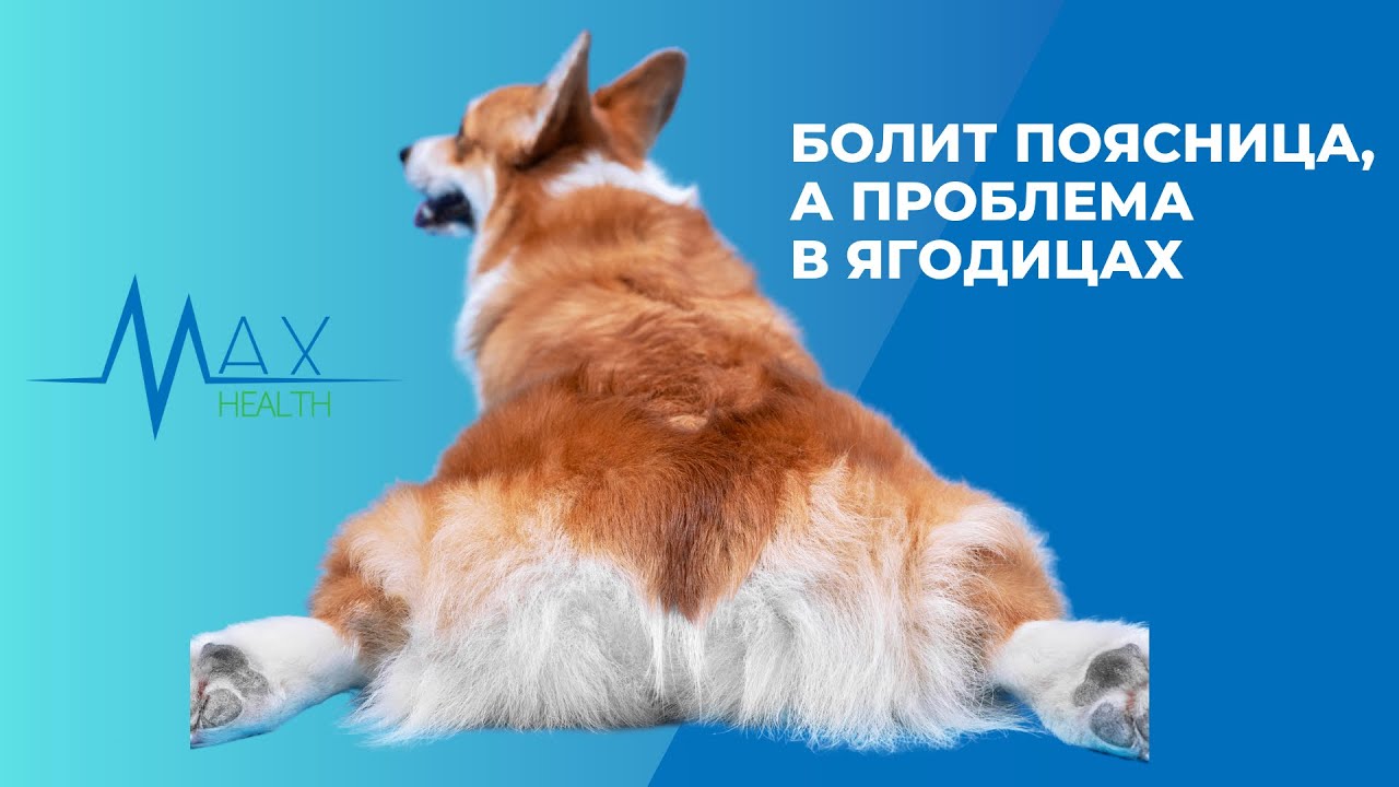 Все проблемы из-за них 