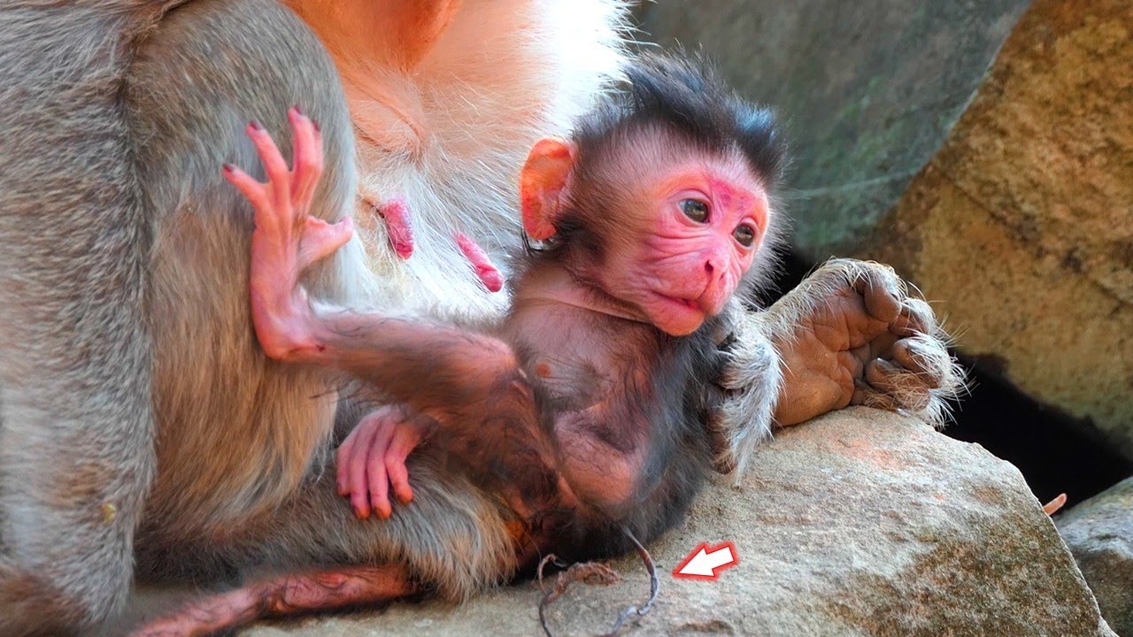 Scarlet's daughter is so adorable while her baby was only 4 days old
