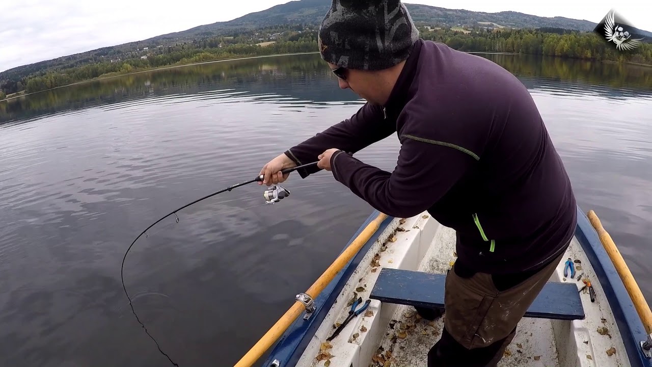 Team Colibri Gjedde i Buksevann