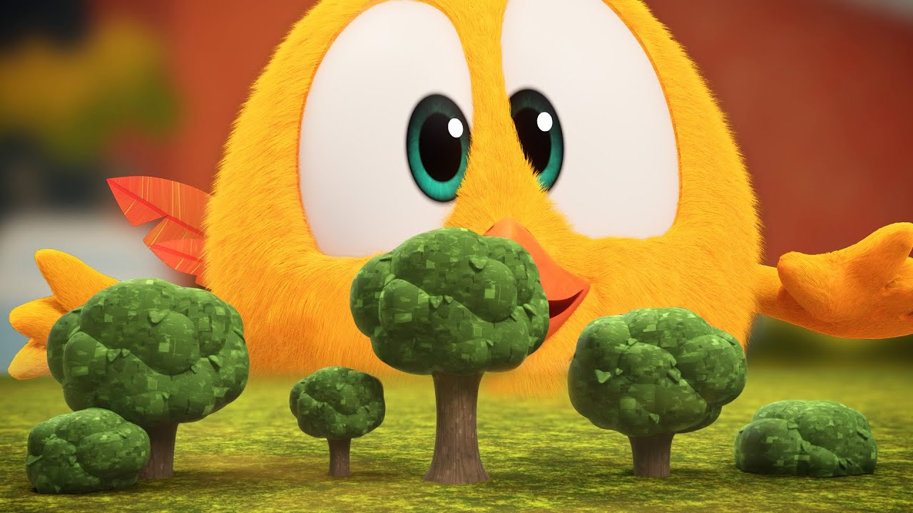 Giant Chicky | Where's Chicky? | Cartoon Collection in English for Kids | New episodes