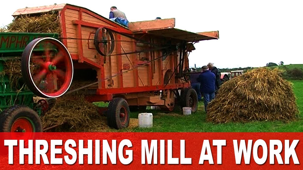 Threshing the Harvest 1960's Style in Ireland using Vintage Fordson Major Tractors