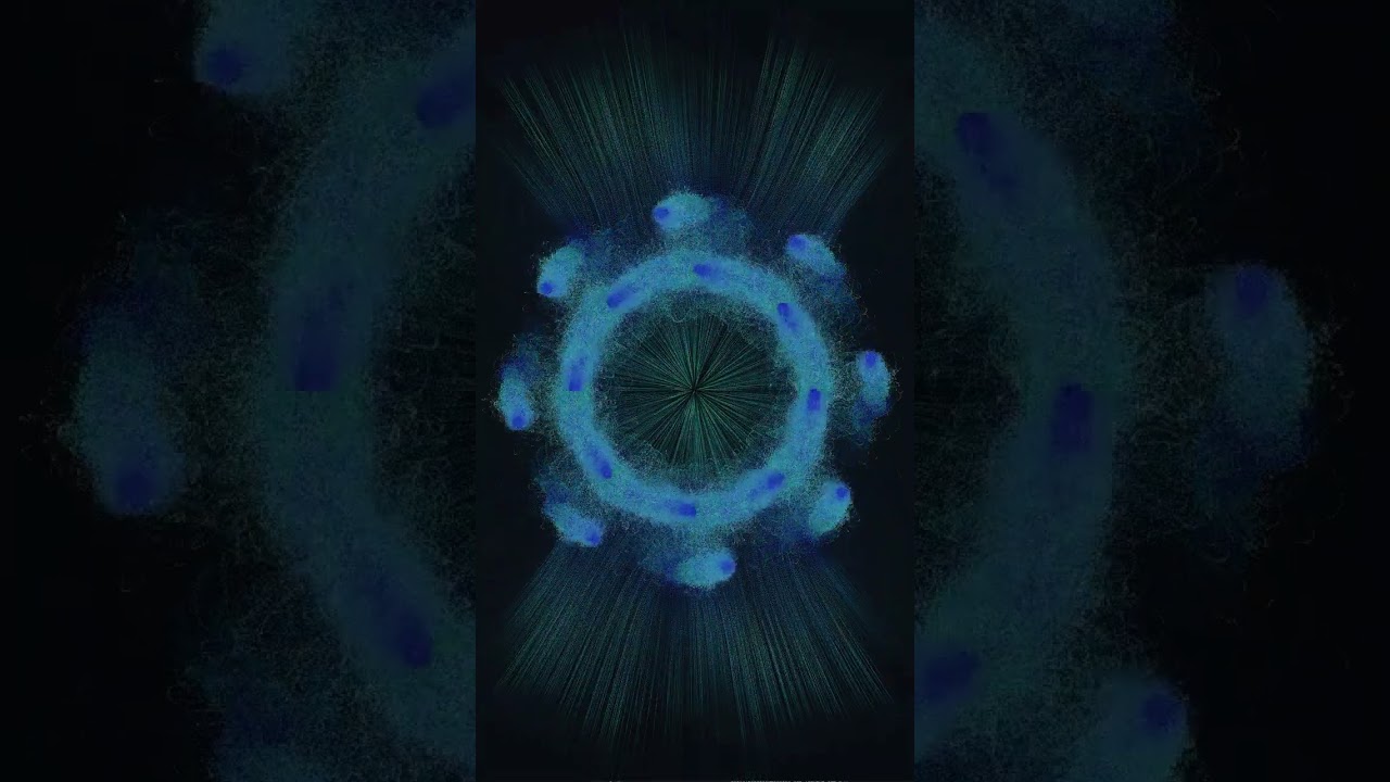 Orbit of One