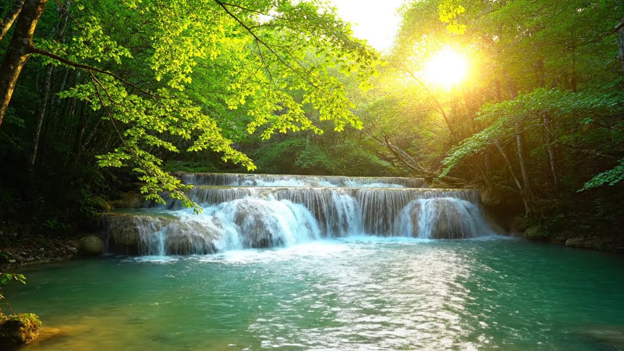 Nature Healing Music 🌿 Relaxing Water Sounds to Relieve Stress, Anxiety & Heal The Body