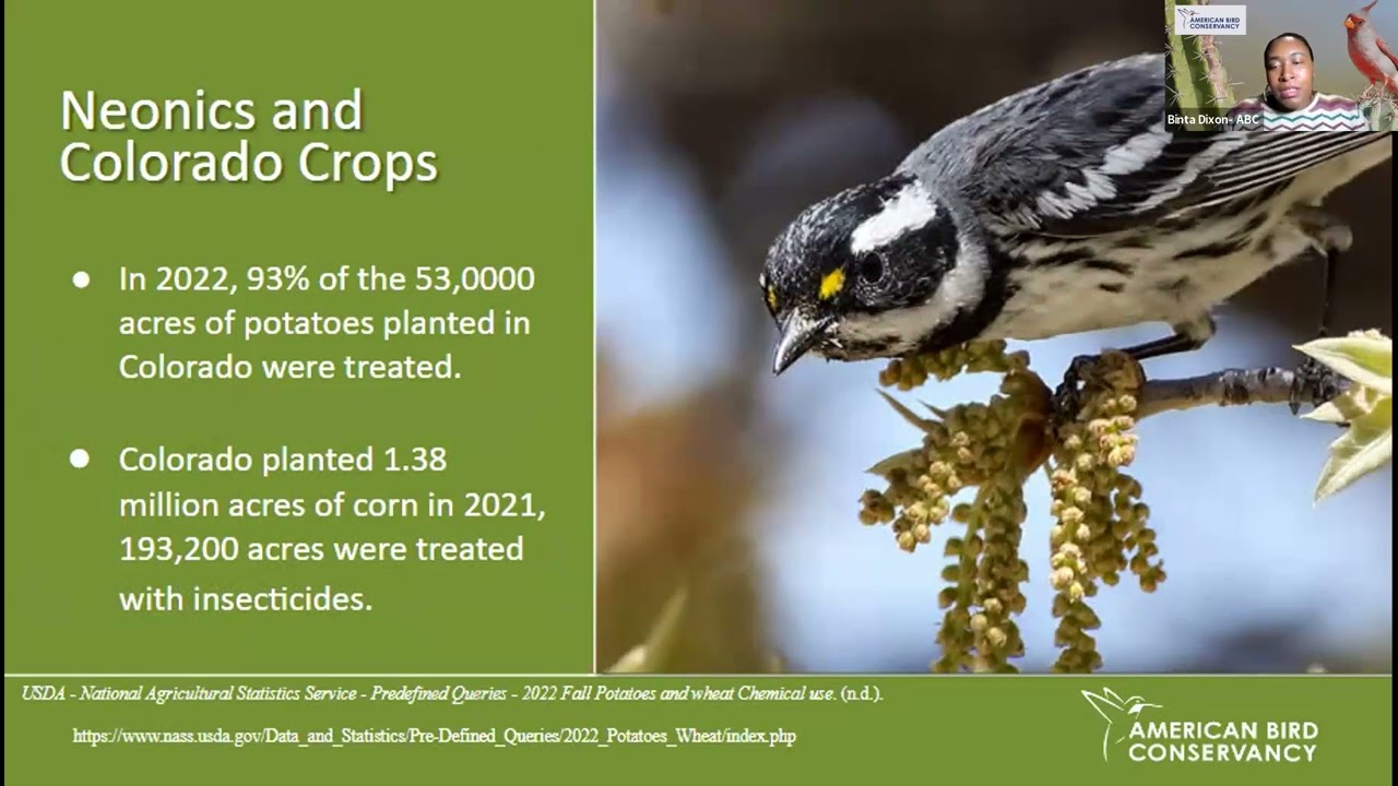 Neonics in Colorado: The Pesticides Threatening Bees, Birds, and Our Health Webinar
