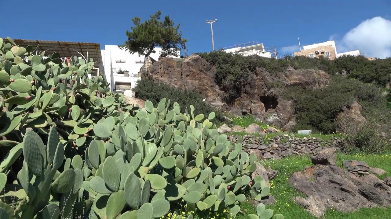 ''ΙΦΙΓΕΝΕΙΑ'' ΠΑΤΜΟΣ 2026.Patmos Today 22-2-2026.Τα Βράχια της Γειτονιάς μας.