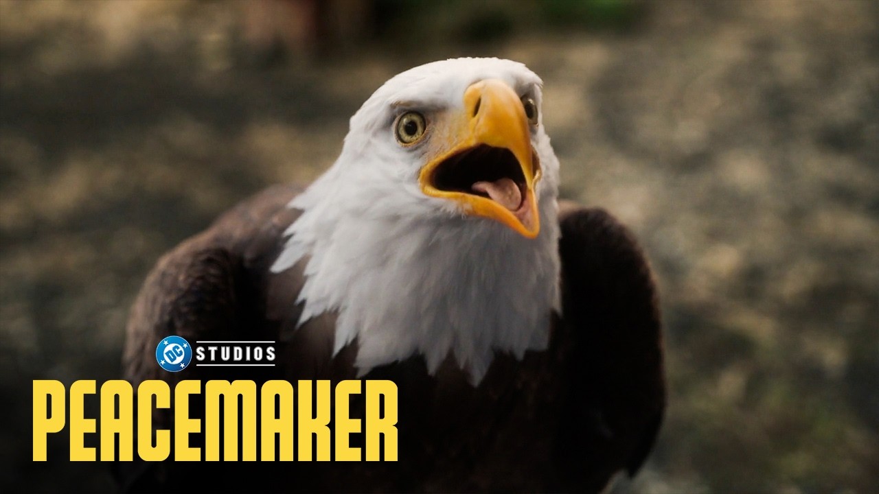 Eagly being the best pet EVER for 16 minutes 🦅 | Best of Peacemaker | DC
