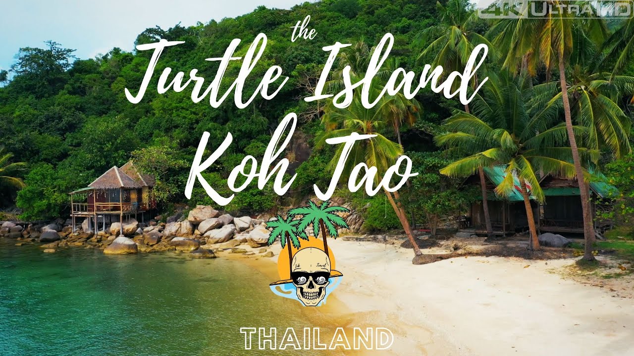 Turtle Island 🐢 Koh Tao - One of the most Idyllic Island in the World - Thailand 2022 4K #12