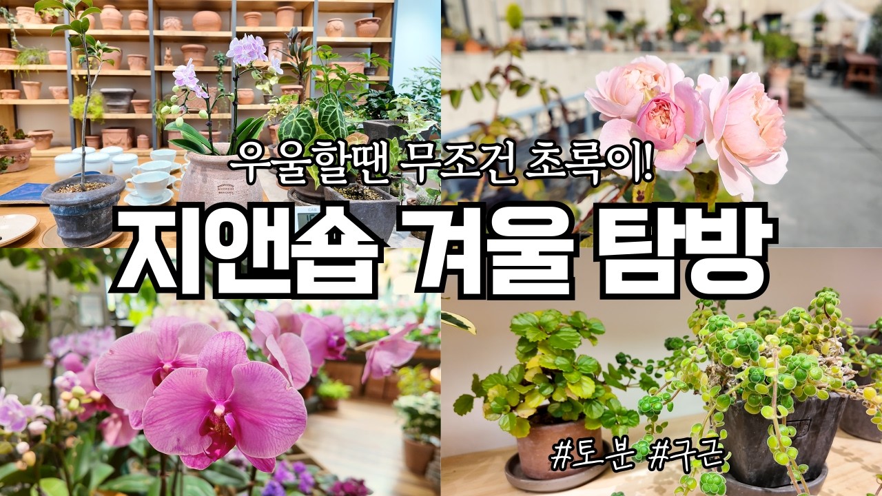 우울할 땐 화원을 가자! 지앤숍에서 초록이들 보며 마음 다스리기 ㅣ 구근쇼핑