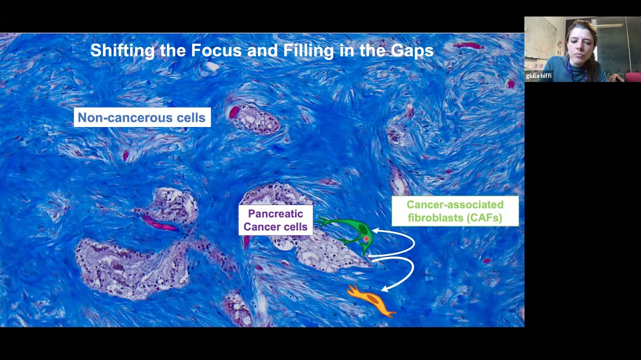 Giulia Biffi - It takes a village: targeting the non-cancerous neighbors to fight pancreatic cancer