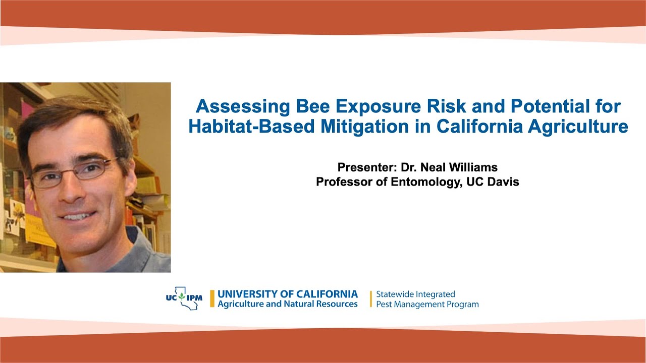 Assessing Bee Exposure Risk and Potential for Habitat-Based Mitigation in California Agriculture