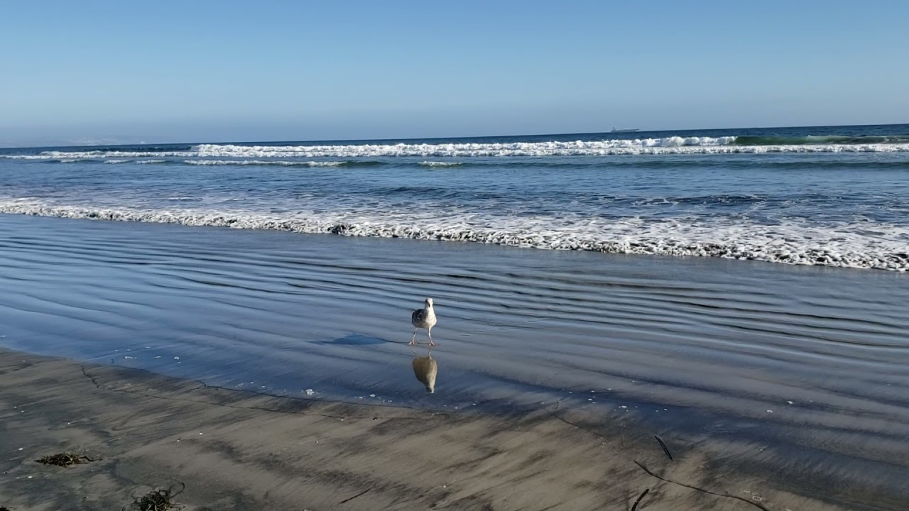 Coronado Beach CA beautiful and peaceful sounds ocean waves