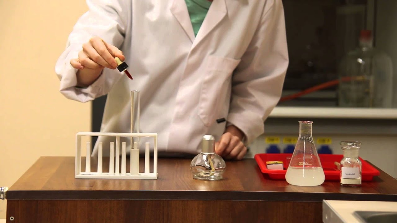 BIOLOGIA   Keményítő kimutatása