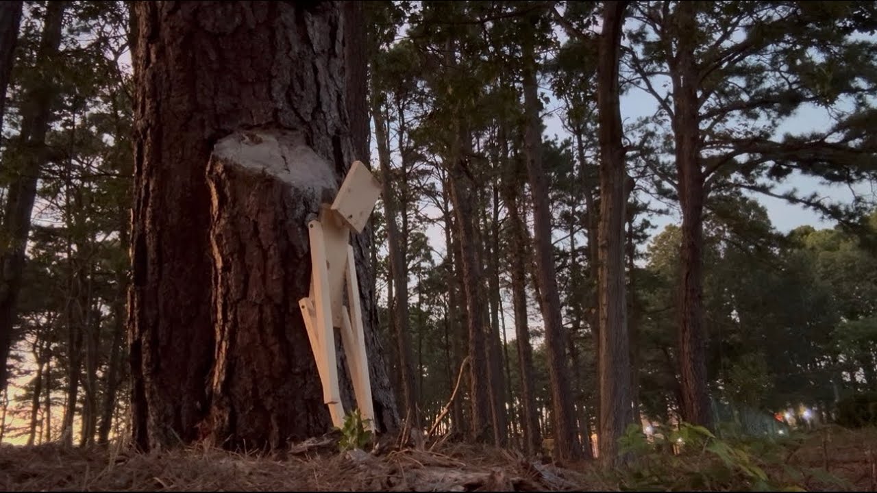 The Wooden Grieving 2: CONTACT 