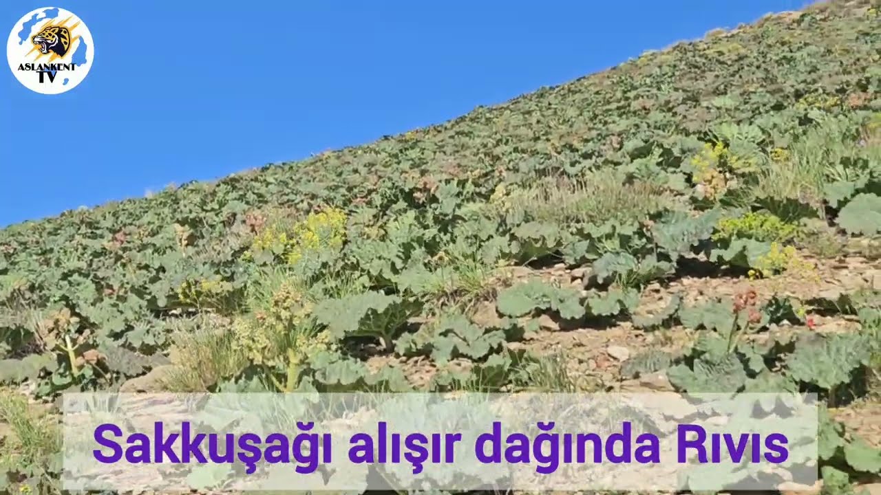 AslankentTV