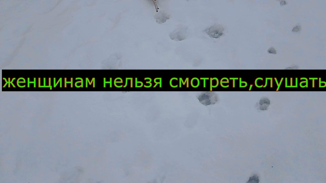 Мой ответ бывшей подписчице