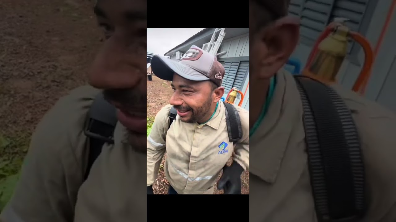 Copilado agrotaigo 1.0