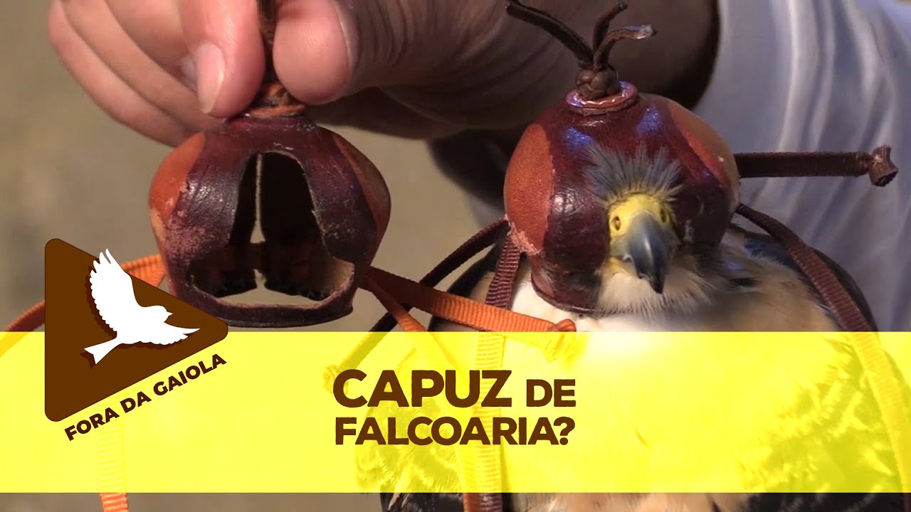 Capuz de Falcoaria.