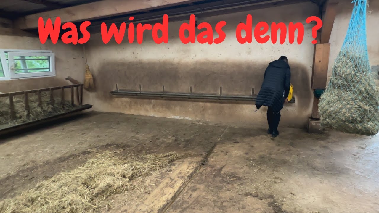 Neuland für UNS wir betreten unbekanntes Terrain (Alpakas des Westens)