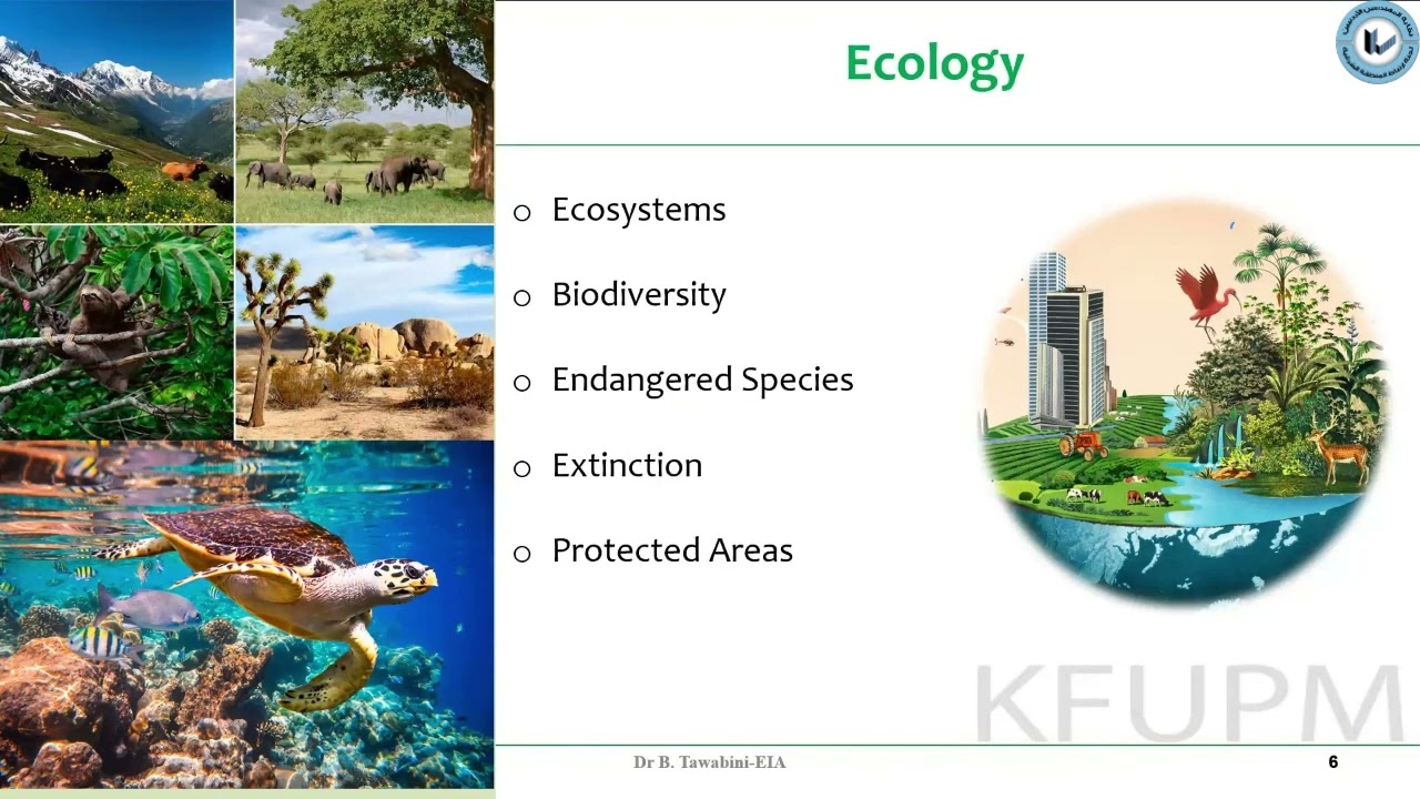 محاضرة المبادىء الأساسية لدراسة تقييم الأثر البيئي للمشاريع