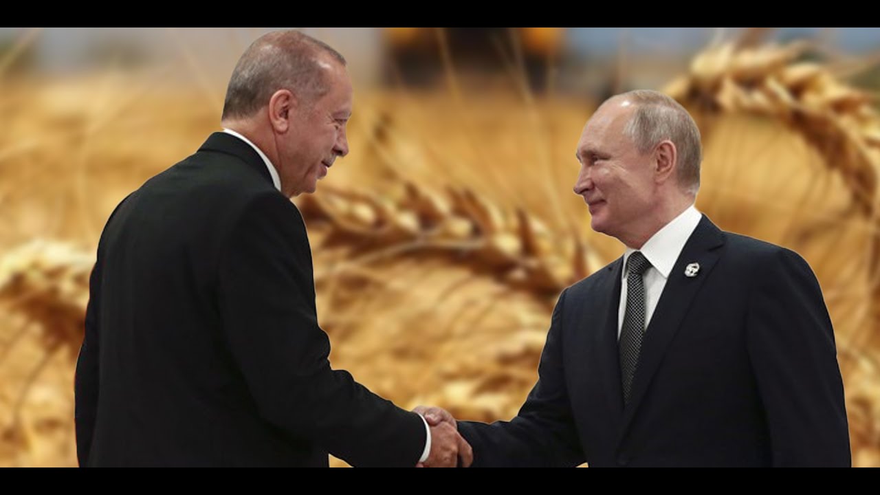 Tahıl Koridoru Anlaşması Nedir?
