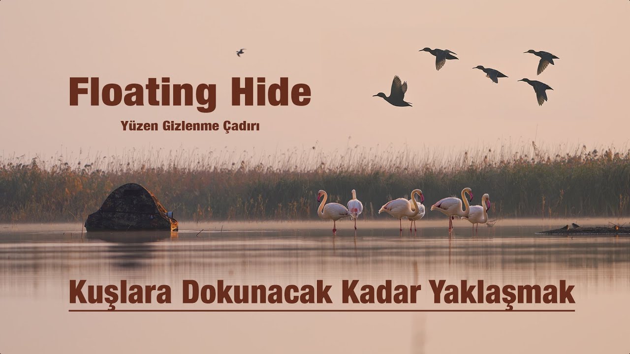 Suyun İçinde Görünmez Olmak Floating Hide İle Gölde Fotoğraf Keyfi | Yüzen Gizlenme Çadırı