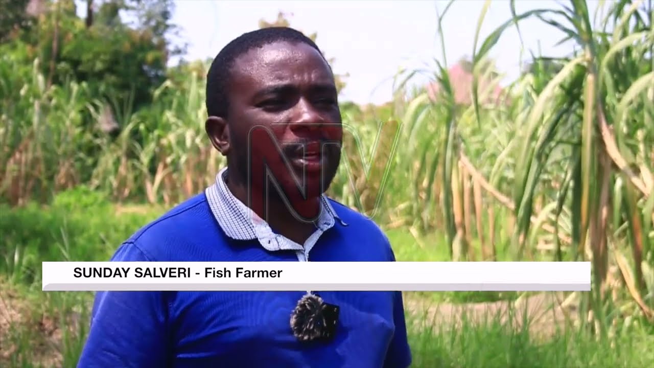 Desilting Nyamwamba river aims to mitigate climate change effects