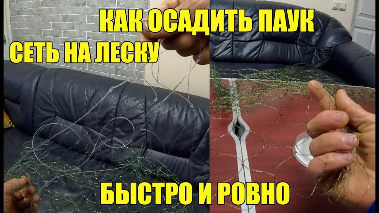 ОСАЖИВАЕМ НОВЫЙ ПАУК ИЗ ЛЕСКИ) КАК СДЕЛАТЬ РОВНО И БЫСТРО