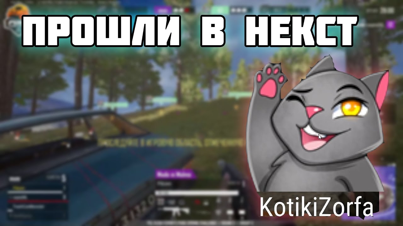 КОТИКИ ЗОРФА ПРОДОЛЖАЮТ ТАЩИТЬ НА КВАЛАХ | ЛУЧШЕЕ С POKAMOLODOY