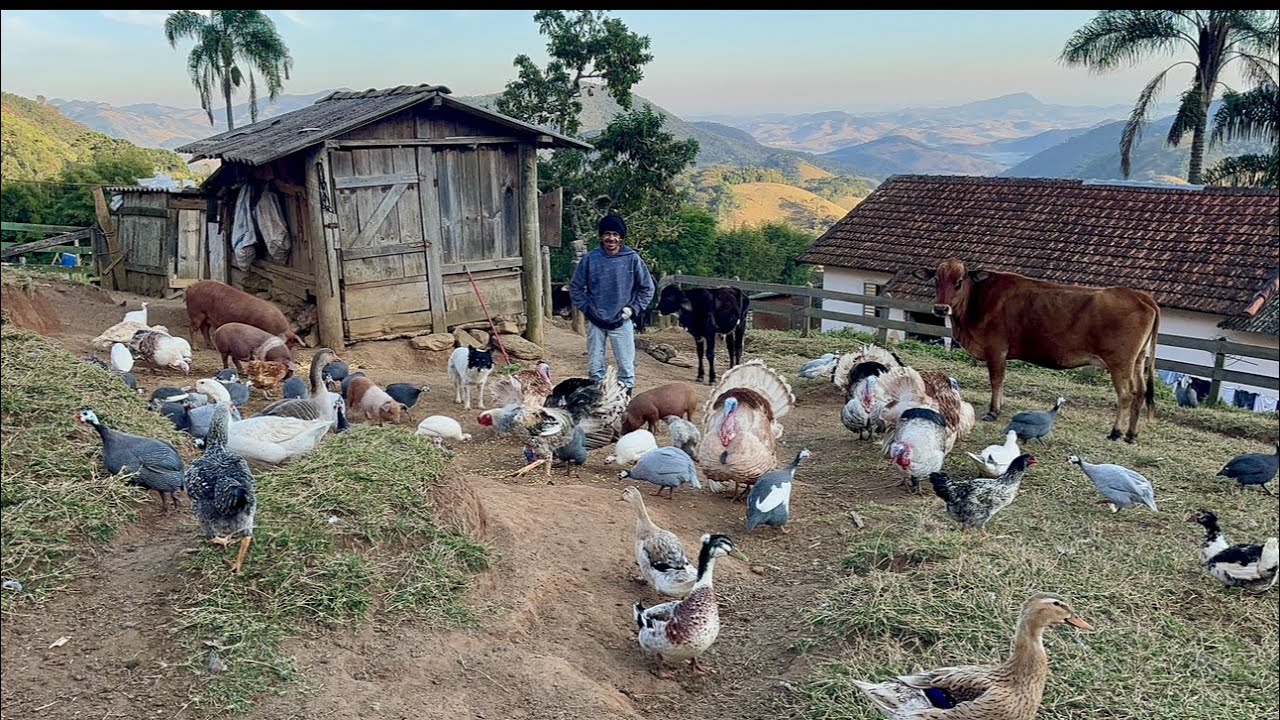 Serra da Mantiqueira # você também vai se encantar com este sítio nas montanhas 🏔️
