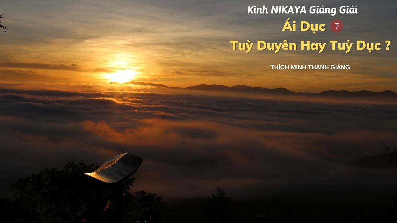 Kinh NIKAYA Giảng Giải - Ái Dục 7 - Tuỳ Duyên Hay Tuỳ Dục ?