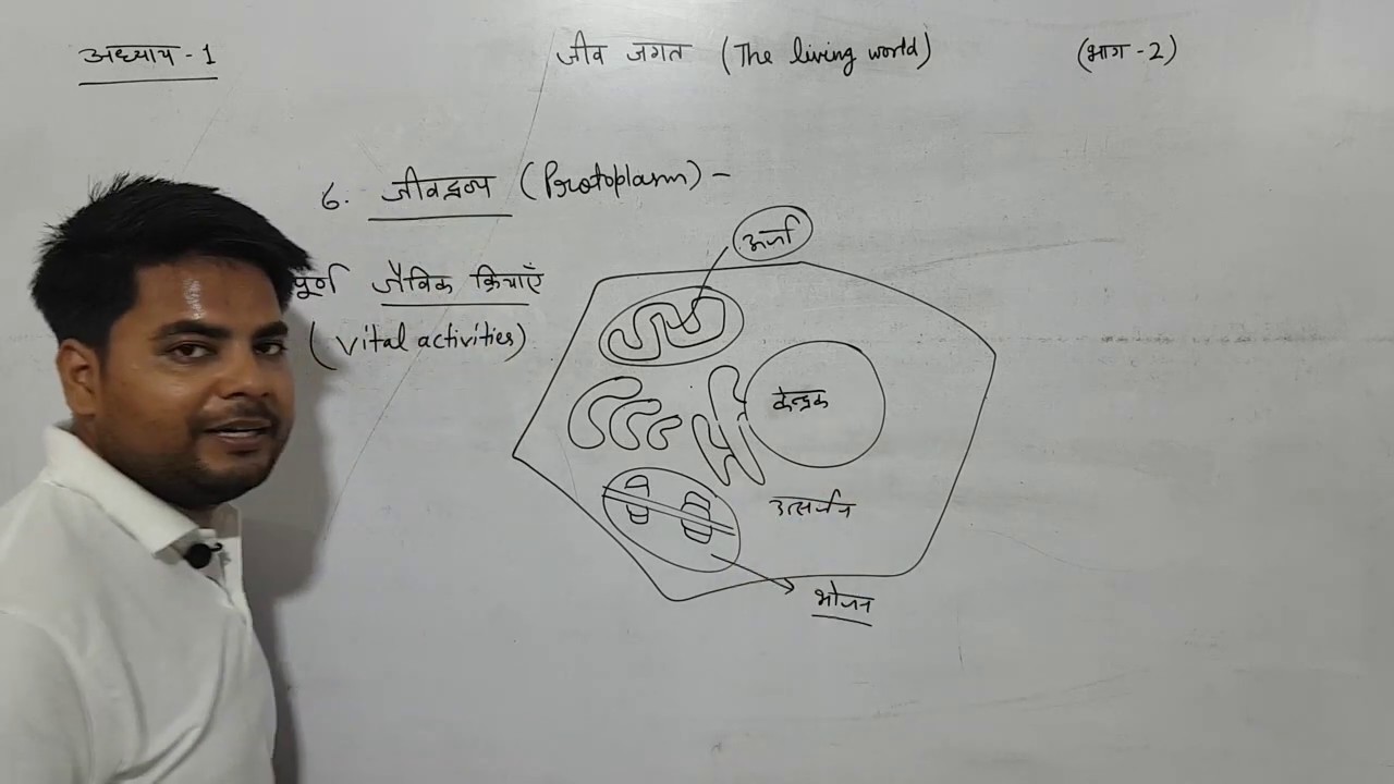 अध्याय-1 जीव जगत (भाग-2 a) (कक्षा 11 जीवविज्ञान) | chapter 1 the living world biology class 11