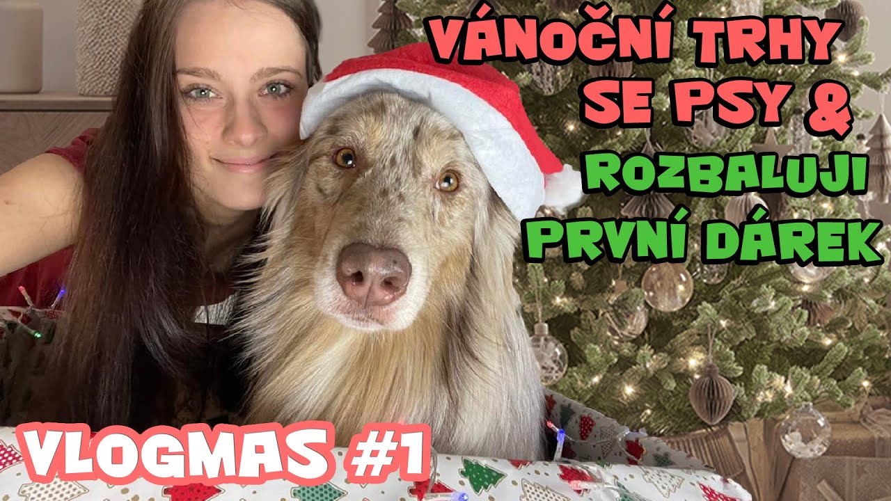 Vzala jsem psy na VÁNOČNÍ TRHY a ROZBALUJI PRVNÍ DÁREK🎄! | VLOGMAS