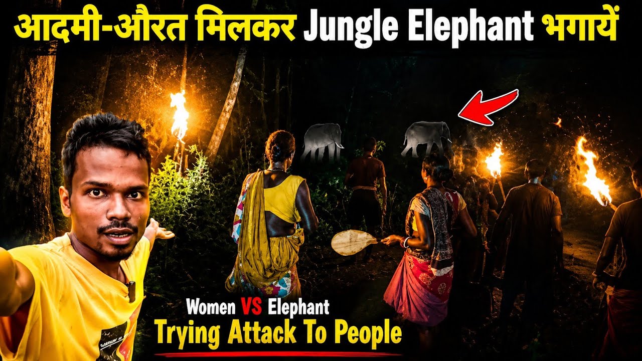 आदमी-औरत मिलकर Jungle Elephant भगायें | Women VS Elephant | Jungle Elephant Trying Attack To People