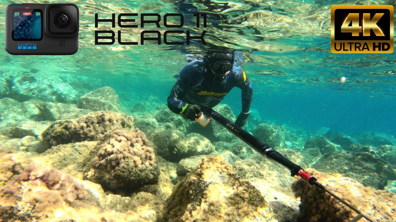 🐙SpearFishing Adventures in Shallow Water.....ΨΑΡΟΤΟΎΦΕΚΟ ΣΤΟΝ ΚΟΡΙΝΘΙΚΟ.