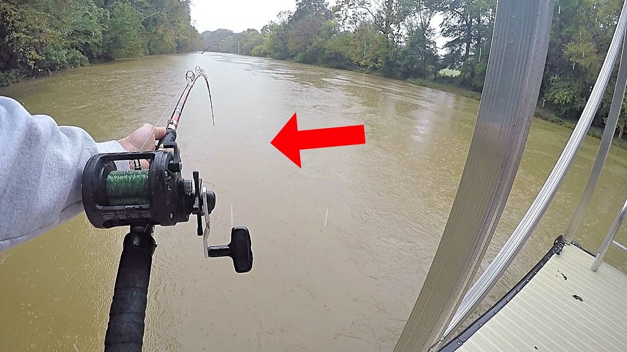 Post Hurricane CREEK MADNESS - Catching One BIG Catfish After Another
